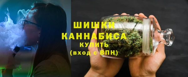 мдпв Верхний Тагил