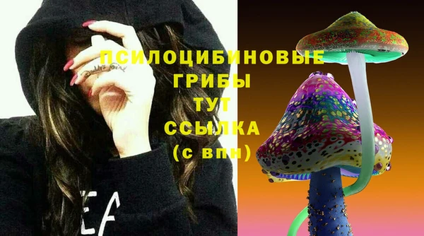 мдпв Верхний Тагил