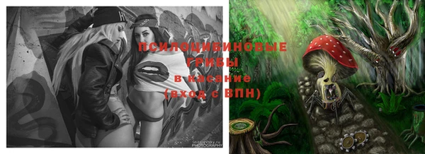 мдпв Верхний Тагил