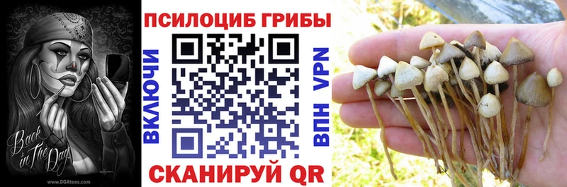 Псилоцибиновые грибы Psilocybine cubensis  Купить  Алушта 