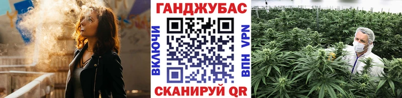 Купить закладки  Алушта  Бошки марихуана план 